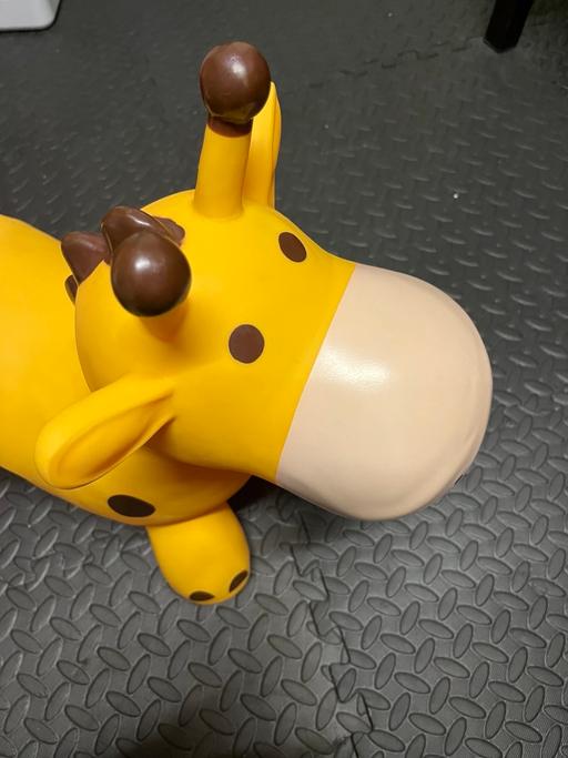 Buy & Sell Sedgley Dudley - Photos for Space hopper