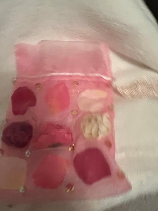 Buy & Sell Hetton-Le-Hole Sunderland - Photos for Pretty Gift Bag