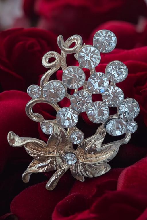 Buy & Sell Brynmawr Blaenau Gwent - Photos for 2 fashion brooches £2 new never worn