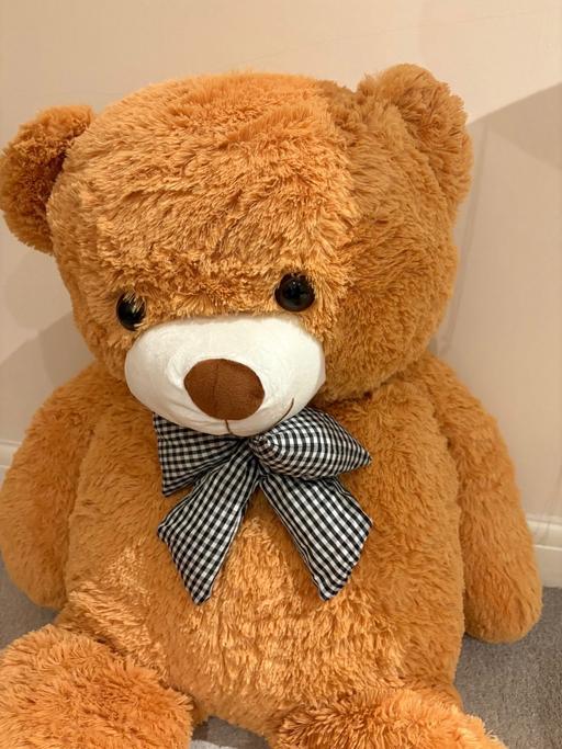 Buy & Sell Eccleston Park Saint Helens - Photos for Giant Teddy