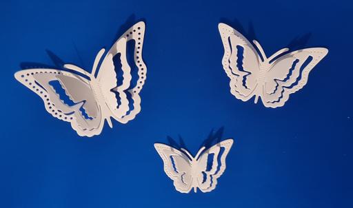 courses Birchills Walsall - Photos for 21, Butterflies 3D