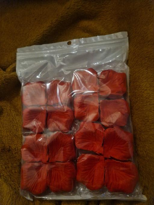 Buy & Sell Pellon Calderdale - Photos for petel