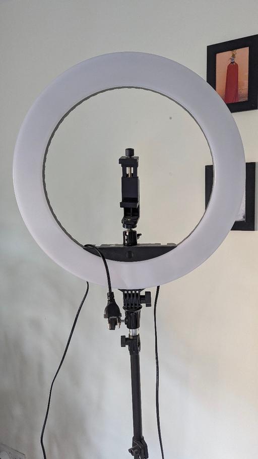 Buy & Sell Millwall East London - Photos for 17