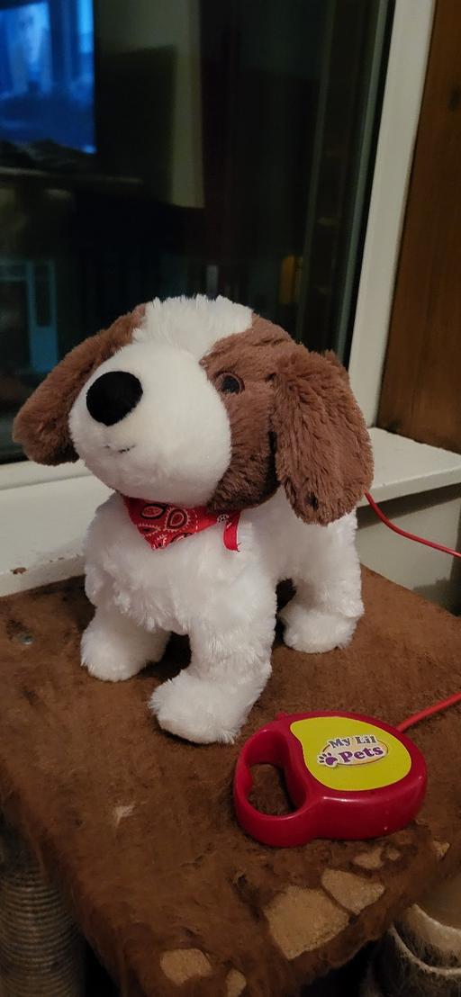 Buy & Sell Radcliffe Bury - Photos for talking walking toy dog