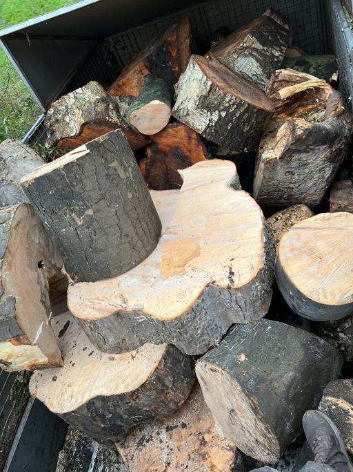 Buy & Sell Hall Green Birmingham - Photos for Tree cutting and removal and hedges and treem