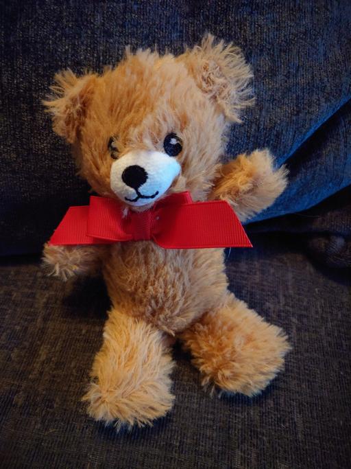 Buy & Sell Woodthorpe Charnwood - Photos for Brown teddy bear soft toy