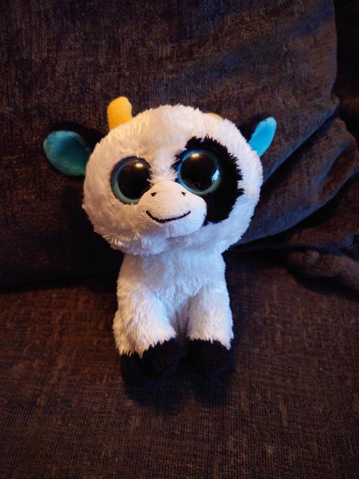 Buy & Sell Woodthorpe Charnwood - Photos for TY cow soft toy