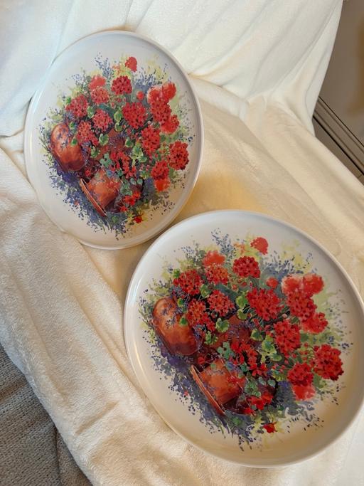 Buy & Sell Hetton-Le-Hole Sunderland - Photos for 2 Strong Plastic Melamine Plates
