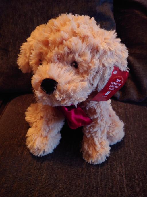 Buy & Sell Woodthorpe Charnwood - Photos for Curtis the cavapoo plush