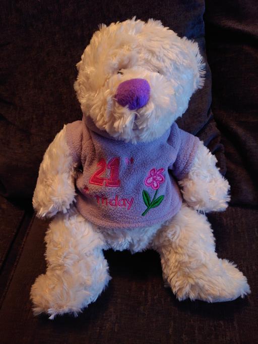 Buy & Sell Woodthorpe Charnwood - Photos for White 21st birthday polar bear