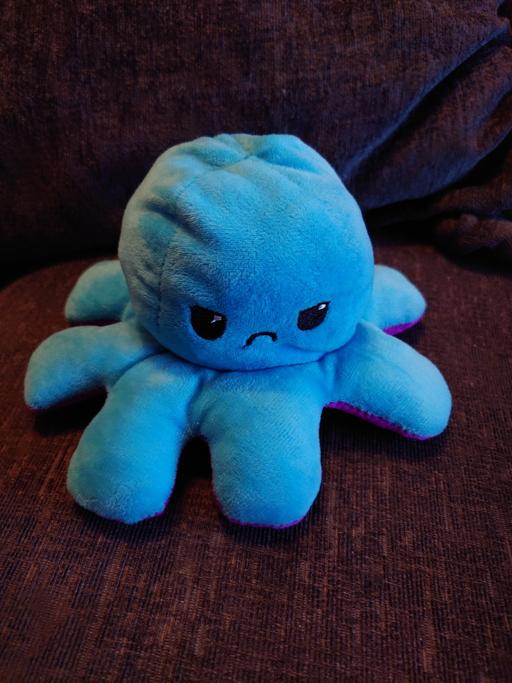 Buy & Sell Woodthorpe Charnwood - Photos for Reversible octopus soft toy