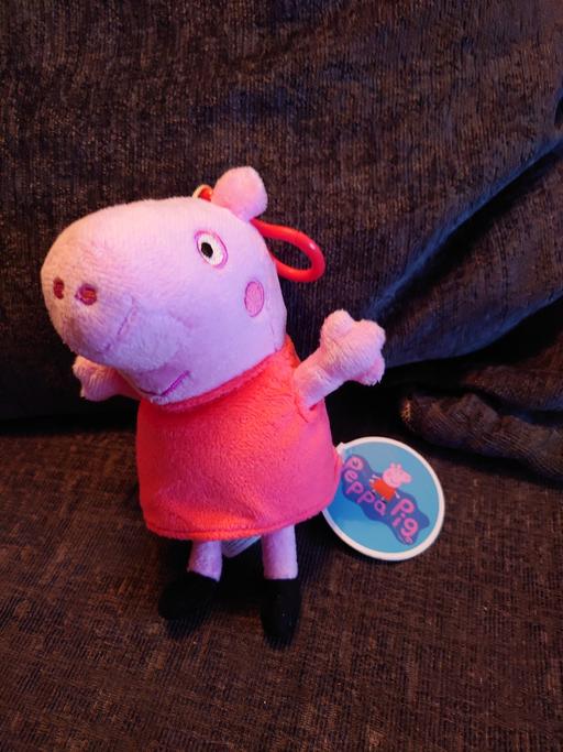 Buy & Sell Woodthorpe Charnwood - Photos for Peppa pig keyring soft toy
