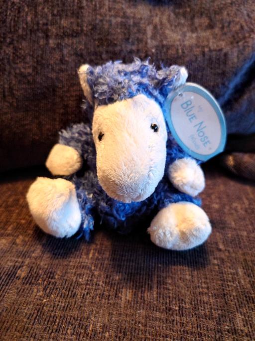 Buy & Sell Woodthorpe Charnwood - Photos for Blue nose Kozie soft toy