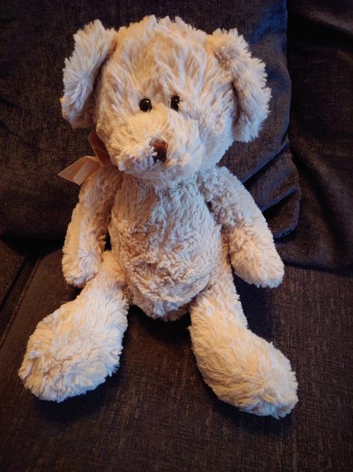 Buy & Sell Woodthorpe Charnwood - Photos for Cream cuddles time teddy bear soft toy