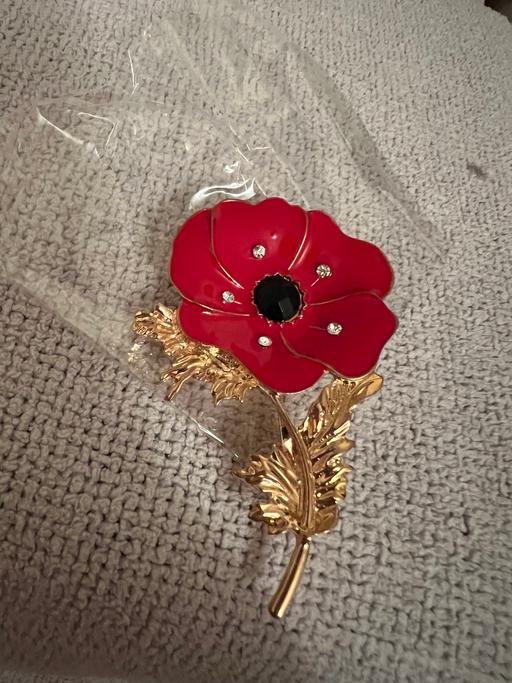 Buy & Sell Easington Lane Sunderland - Photos for Pretty Poppy Brooche ( New )