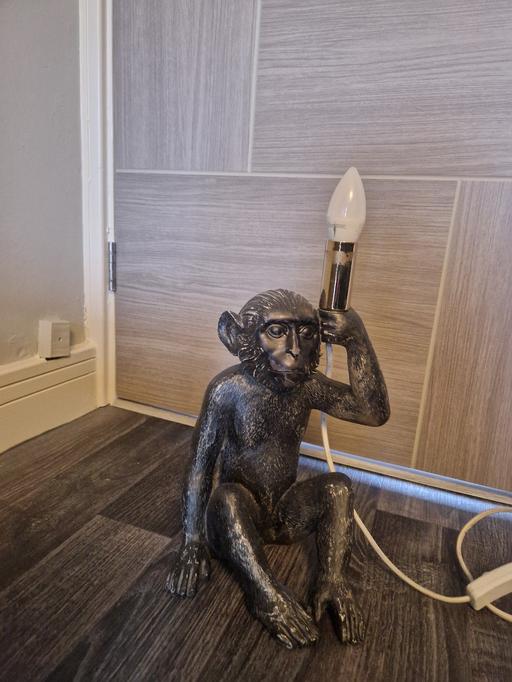 Buy & Sell Scholes Rotherham - Photos for monkey lamp