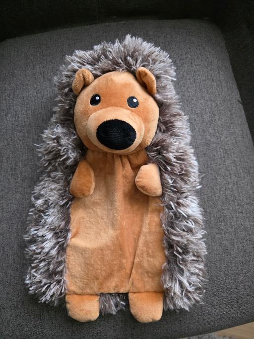 Buy & Sell Kitts Green Birmingham - Photos for hedgehog water bottle/ cover