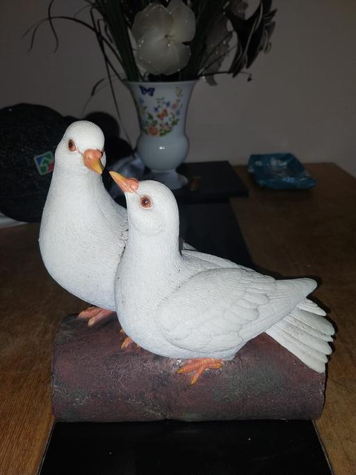 Buy & Sell Hurst Green Dudley - Photos for Vivid Arts birds