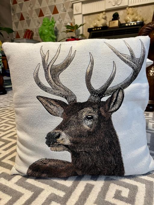 Buy & Sell Kingsnorth Ashford - Photos for Cushion set of 5