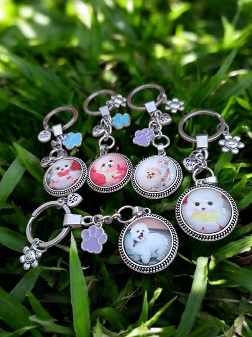 Buy & Sell Tredegar Blaenau Gwent - Photos for Bundle of 5 pet dog keyrings new