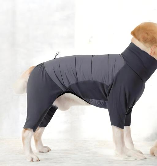 Buy & Sell Hem Heath Stoke-on-Trent - Photos for Dog suit windproof