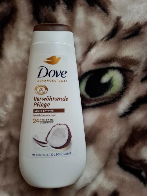 Buy & Sell Woodsetton Dudley - Photos for DOVE 🕊