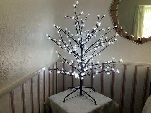 Buy & Sell Weoley Castle Birmingham - Photos for Beech tree l.e.d white lights.