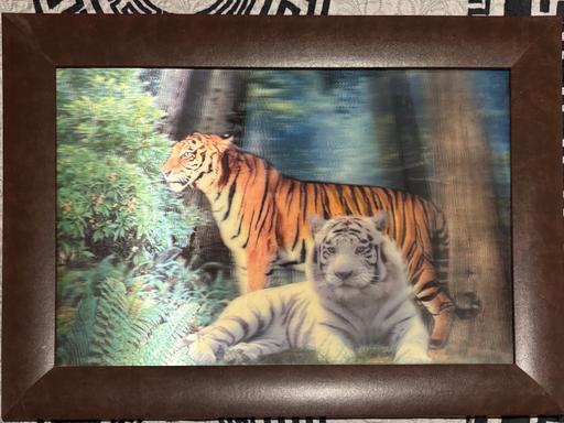Buy & Sell Princes End Sandwell - Photos for Hologram tiger picture framed