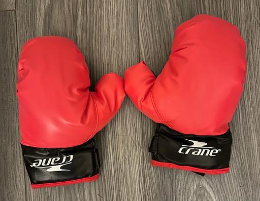 Buy & Sell Shirley Solihull - Photos for Boxing gloves