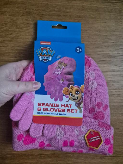Buy & Sell Crumpsall Manchester - Photos for new Girls Paw Patrol Skye Hat & Gloves Set