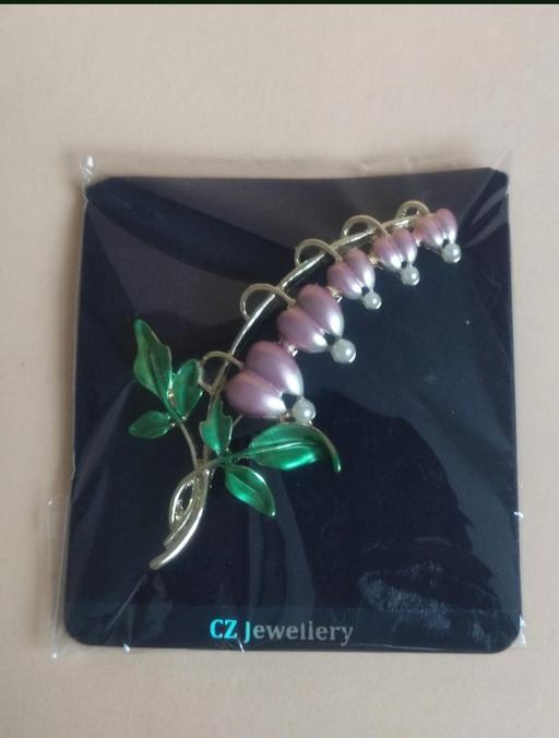 Buy & Sell Grafton Street Industrial Estate West Northamptonshire - Photos for New beautiful brooch