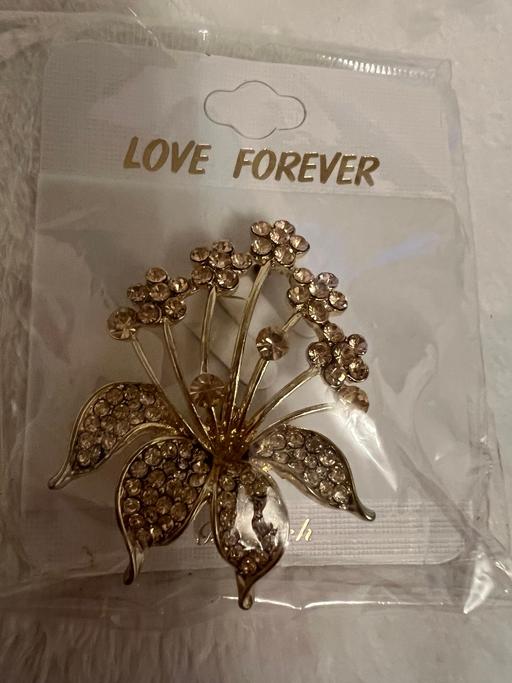 Buy & Sell Easington Lane Sunderland - Photos for Pretty Brooche ( New )