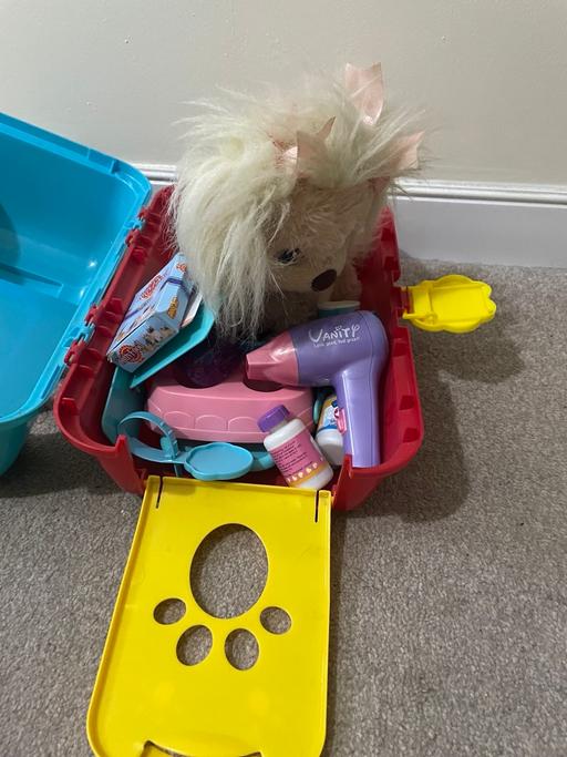Buy & Sell Ynysddu Caerphilly - Wales - Photos for Dog with accessories and carrier