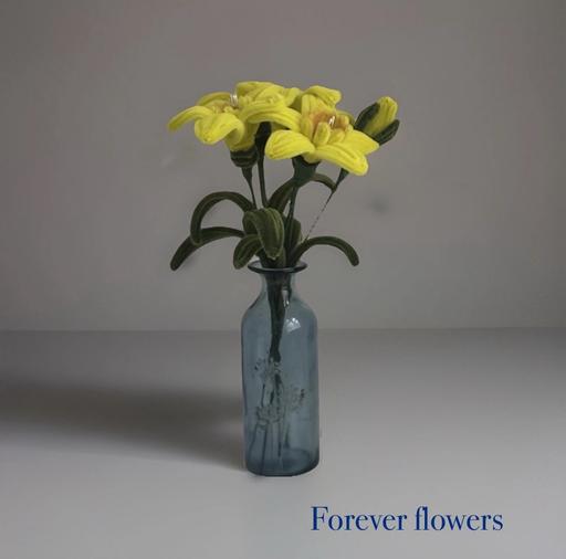 Buy & Sell Wordsley Dudley - Photos for Daffodill