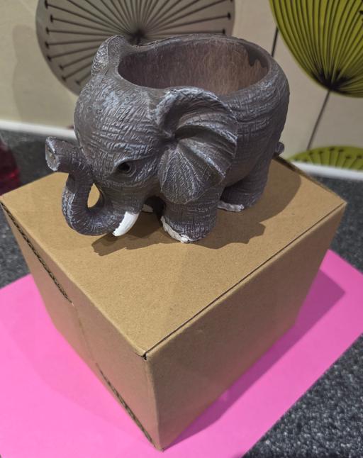 Buy & Sell Westgate-on-Sea Thanet - Photos for ELEPHANT POT