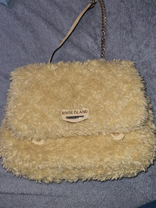 Buy & Sell Woodsetton Dudley - Photos for Ladies river island bag
