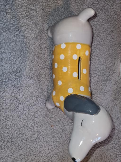 Buy & Sell Woodsetton Dudley - Photos for sausage dog money box
