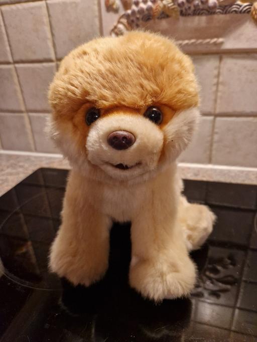 Buy & Sell Mile Hill North East Derbyshire - Photos for soft toy dog