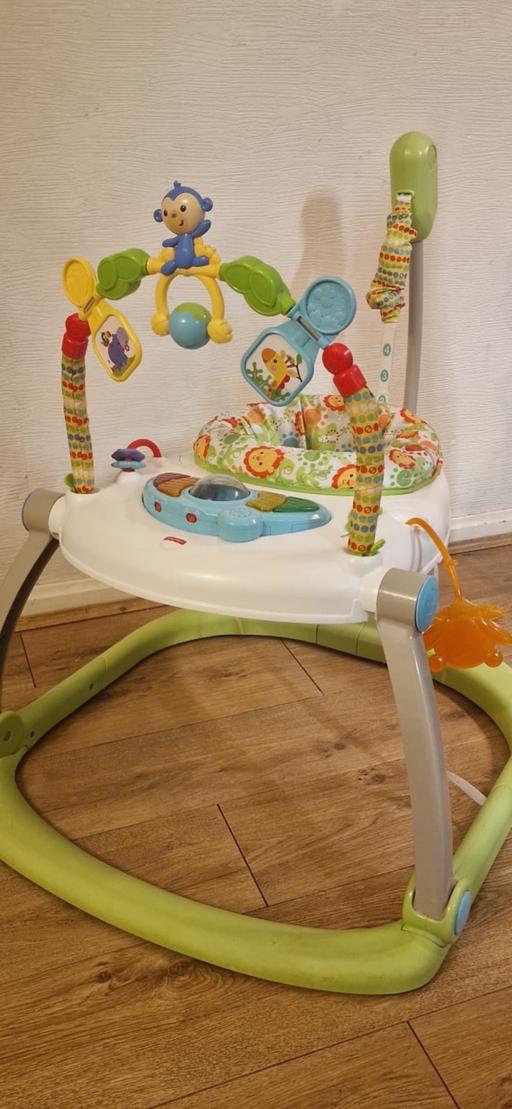 Buy & Sell Great Bridge Sandwell - Photos for Fisher-Price Jumperoo