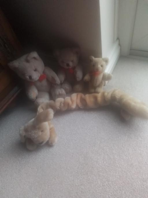 Buy & Sell Streetly Walsall - Photos for THREE BRAND NEW BEARS AND PULL DOG 