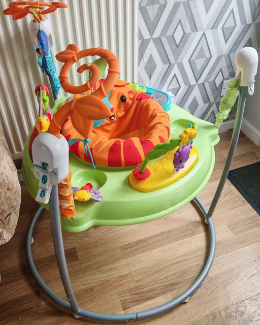 Buy & Sell Fullers Slade Milton Keynes - Photos for Fisher price Jumperoo