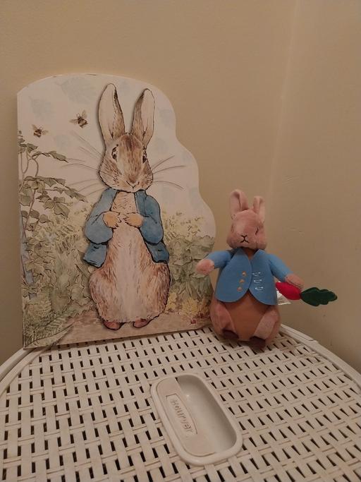 Buy & Sell Essington Wolverhampton - Photos for Peter Rabbit Book &Plush