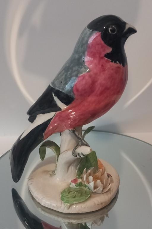Buy & Sell Thatto Heath Saint Helens - Photos for handmade unique ceramic bullfinch figure