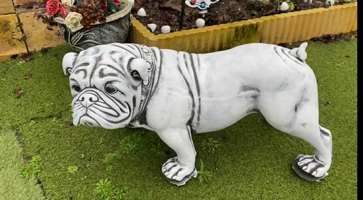 Buy & Sell Moseley Birmingham - Photos for Bulldog Statue