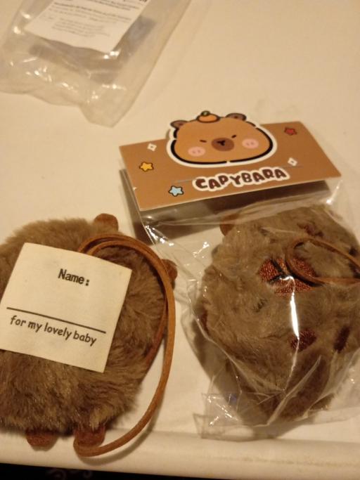 Buy & Sell Horncastle East Lindsey - Photos for 2 Capybara soft toy hangable name tags