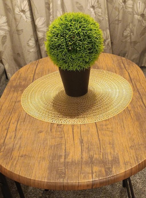 Buy & Sell Stratford Enterprise Park Stratford-on-Avon - Photos for Artificial Potted Plant with Mat