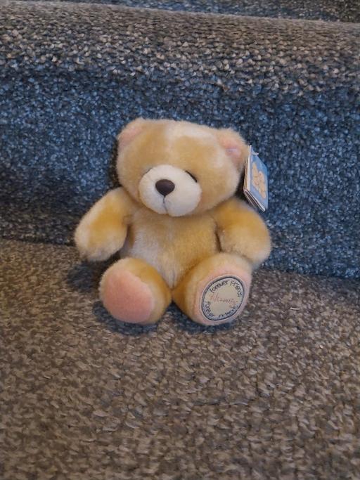 Buy & Sell Essington Wolverhampton - Photos for New. Small Forever Friends Teddy Bear