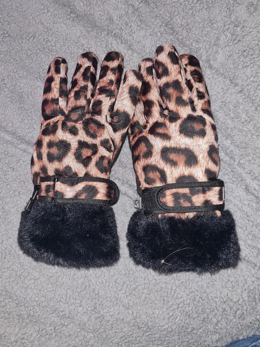 Buy & Sell Woodsetton Dudley - Photos for Ladies gloves