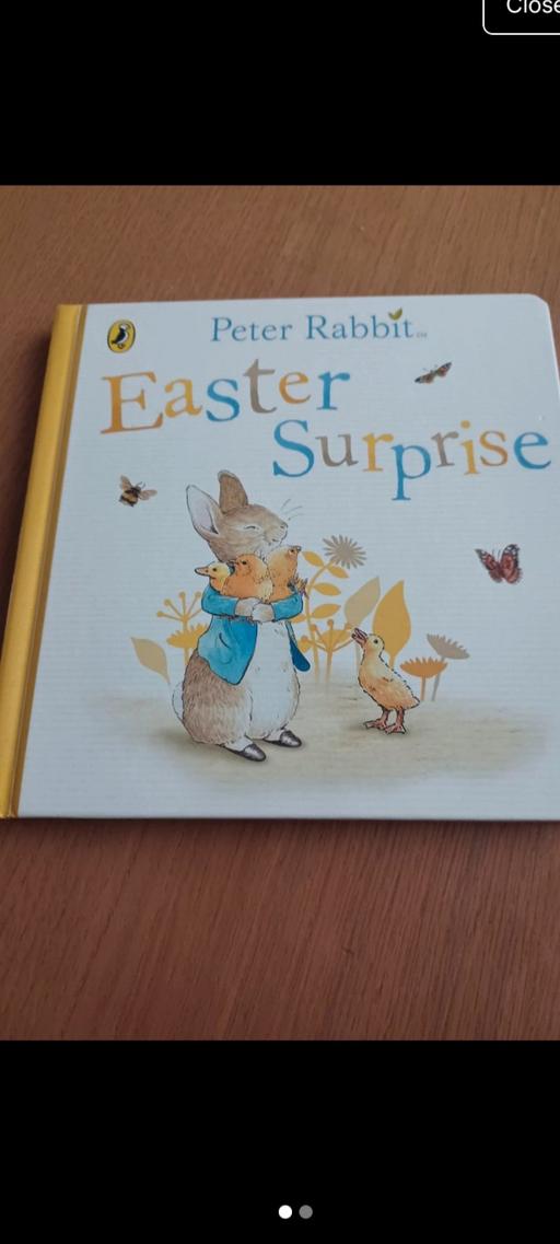 Buy & Sell Eckington North East Derbyshire - Photos for Peter rabbit easter surprise board book