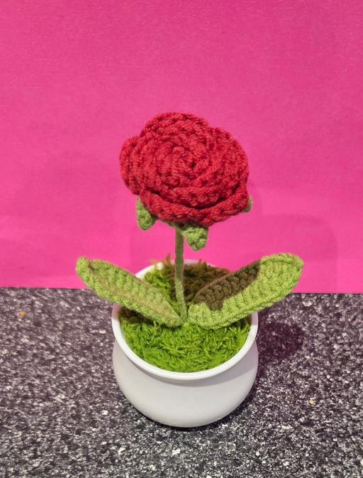 training Westgate-on-Sea Thanet - Photos for GAND KNITTED ROSE